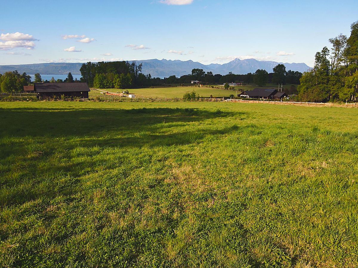 Parcela con vista al lago y la cordillera